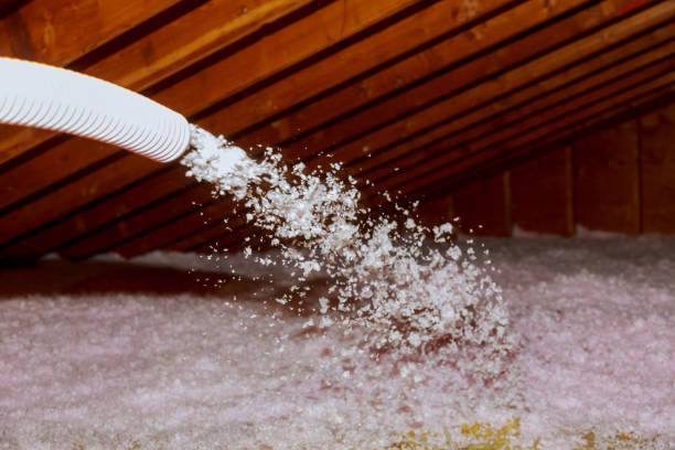 Best Attic Insulation Installation  in Payne, OH